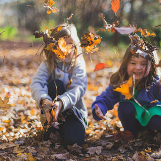 Collecting moments: Grow together as a family