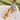 Wander Classic | Botanical - Earthen