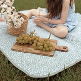 Picnic setup with grapes, flowers, and a basket on a sage green mat while a child sits nearby, featuring the toddlekind portable water resistant wander classic play mat botanical sage for family outings.
